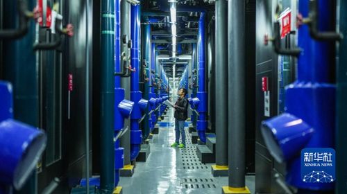 数字引擎驱动山货出山 网络技术拓宽贵州特色食品发展新路径